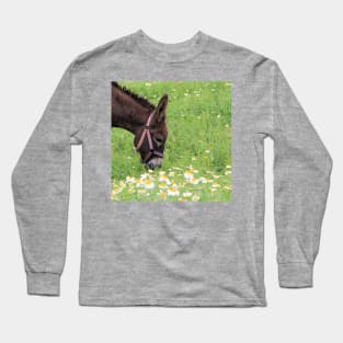 Happy Donkey Long Sleeve T-Shirt